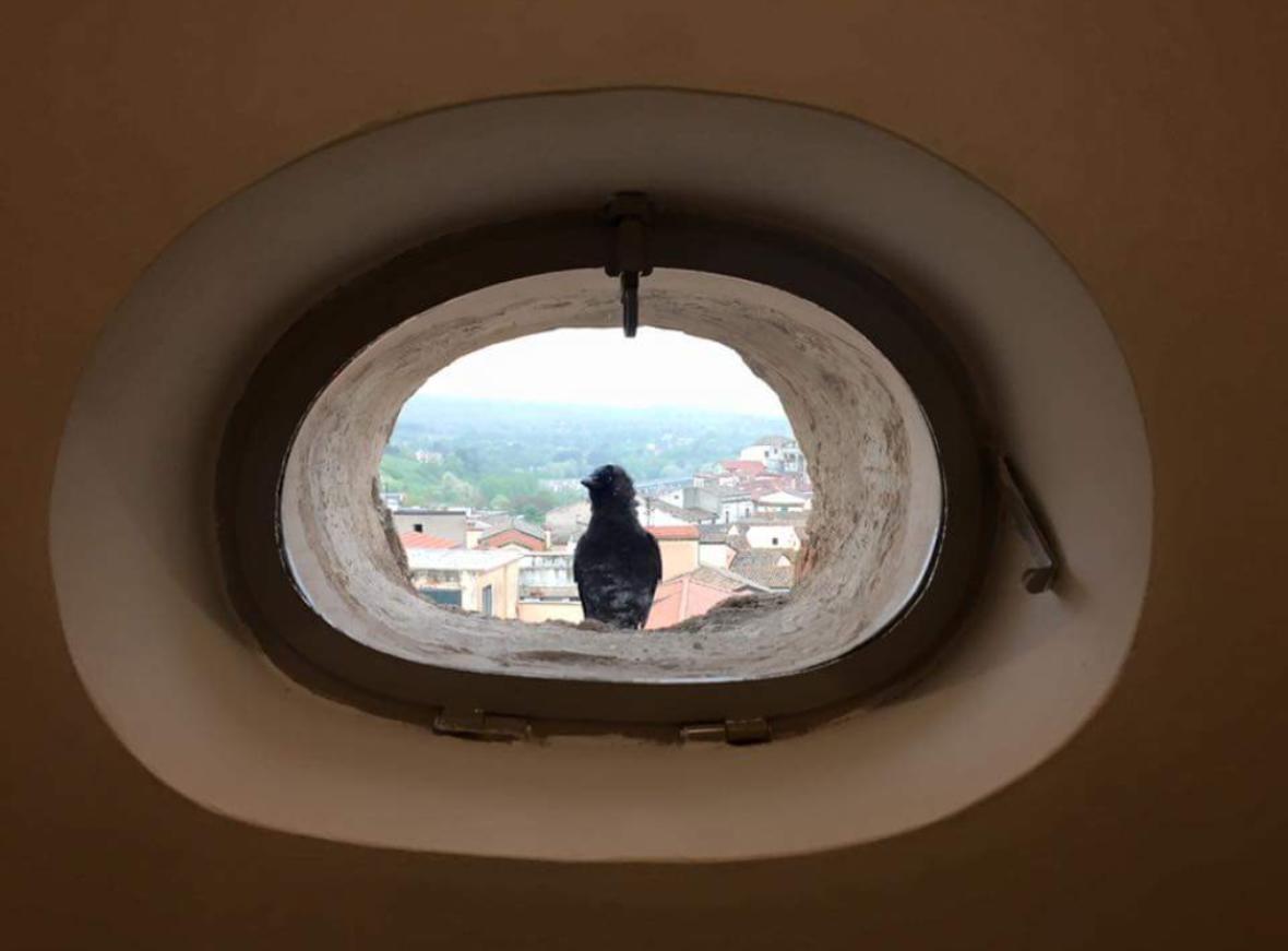 La Casa Nel Borgo Antico Ξενοδοχείο Μέλφι Εξωτερικό φωτογραφία